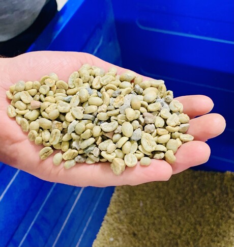 La empresa Joh. Johannson Kaffe importa granos de café verdes y enteros desde Brasil y Colombia.